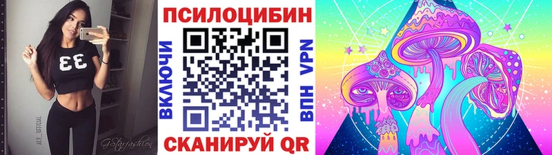 Псилоцибиновые грибы Psilocybe  Нахабино 